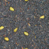 Té Negro Pistacho Trufa