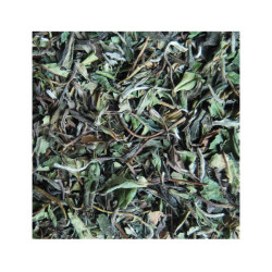 Té Blanco Jazmín