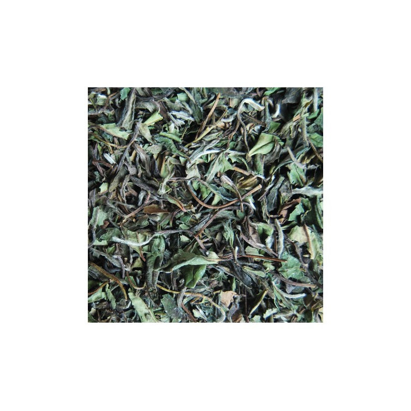 Té Blanco Jazmín