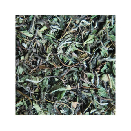 Té Blanco Jazmín