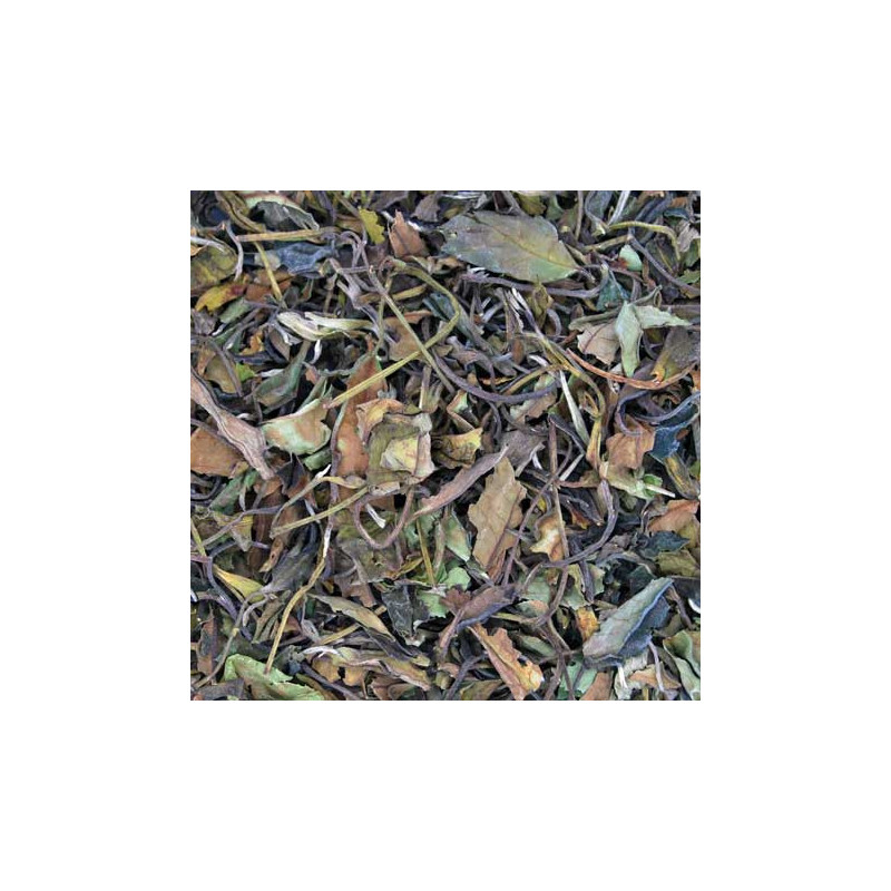 Té Blanco Pai Mu Tan