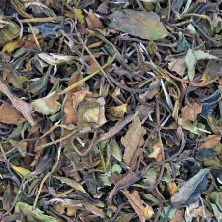 Té Blanco Pai Mu Tan