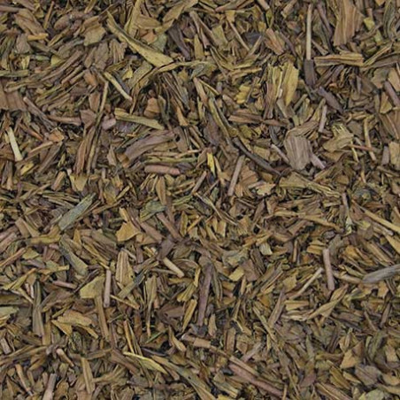 Té Verde Japón Bancha