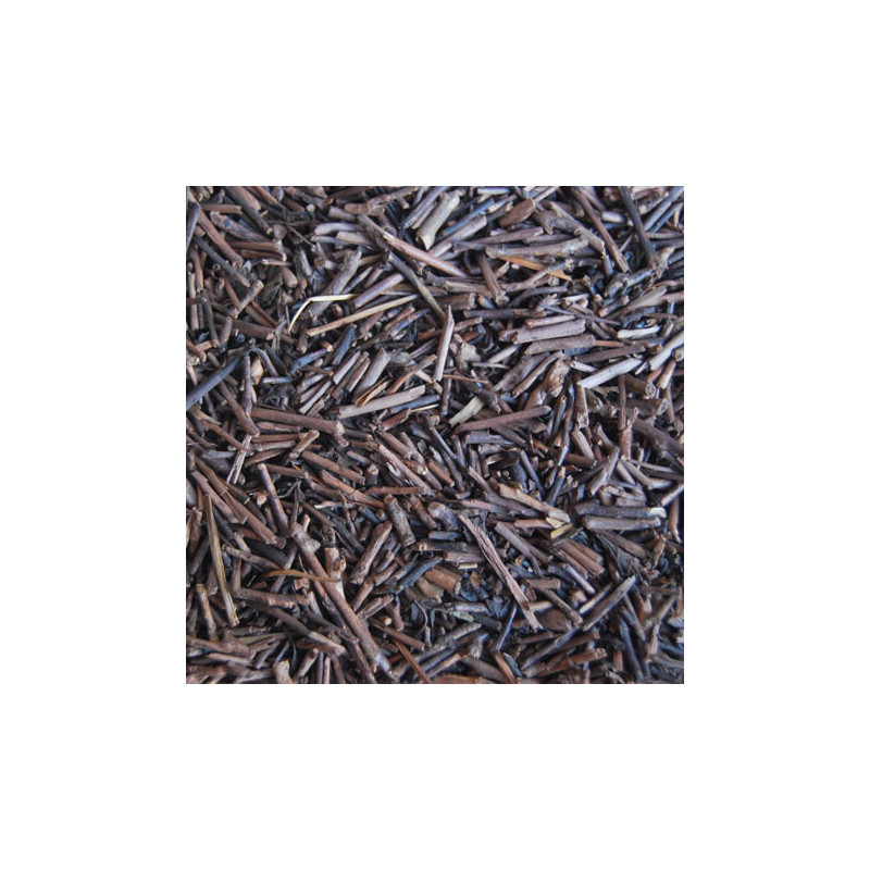 Té Verde Kukicha Tostado Japonés