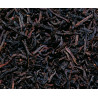Té Negro Ceilan OP1