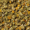 Manzanilla