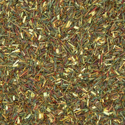 Rooibos Verde Bio