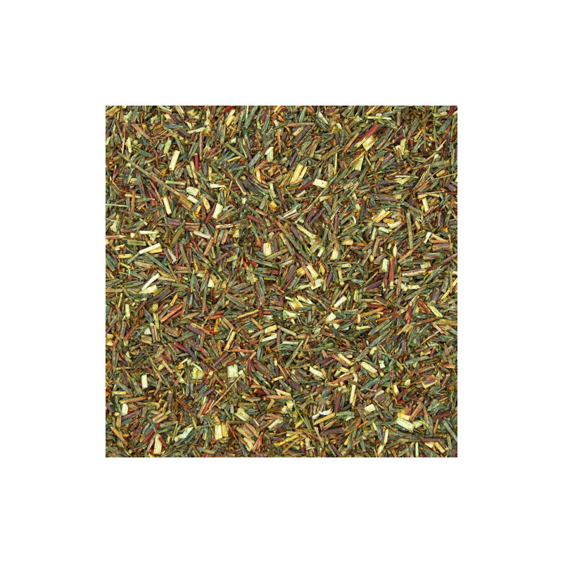 Rooibos Verde Bio